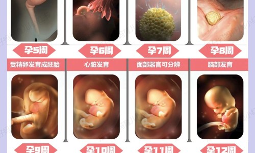 骨折病人早上吃什么好网-分享骨折病人吃什么最好，骨折病人吃什么营养品好得快知识库
